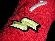 DiMAGE Xg 1767-s.jpg