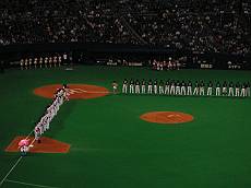 DiMAGE Xg 1790-s.jpg