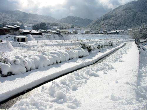 雪の遊歩道