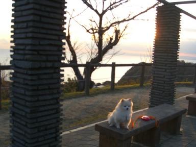 披露山公園でのミルキー２