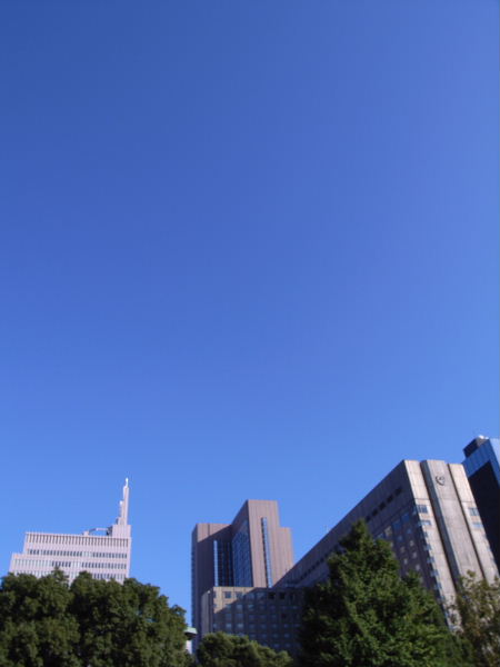 Cnv0074.jpg