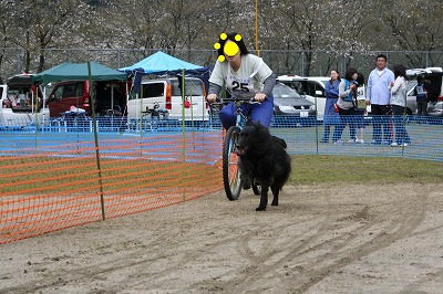 2010_0411_101103-ギグレース京都04.11 007_1.jpg