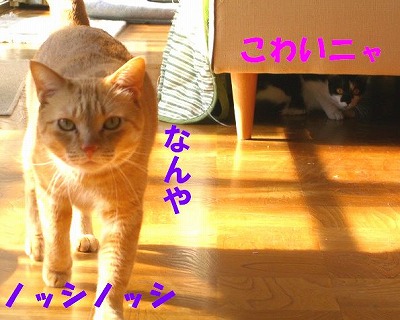 CIMG2820.jpg