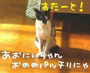 CIMG2821.jpg