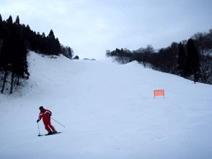P109012711.gif
