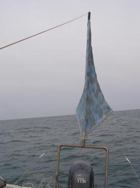 P5250008.JPG