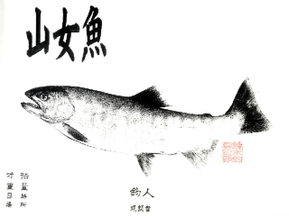 魚拓36.5cm.jpg