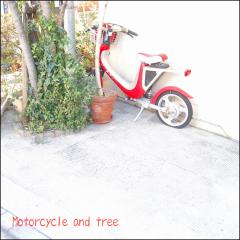 Motorcycle and tree