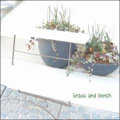 Grass and bench