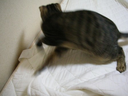 DSCN3078.JPG