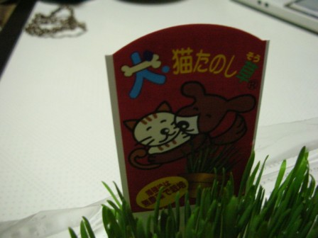 DSCN1723.JPG