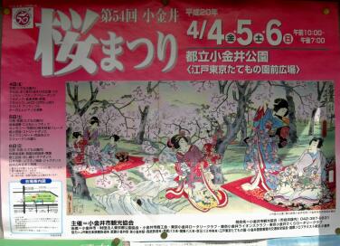 小金井公園桜祭り.jpg