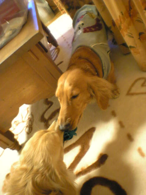 離せってば～～