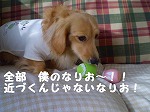 ぜ～～んぶ　僕のなり！