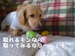 取る気なりか！
