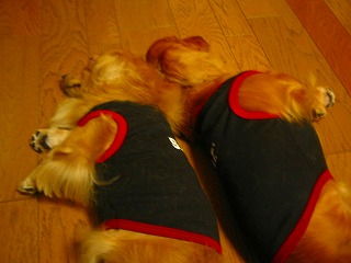 そっぽ向いて・・・