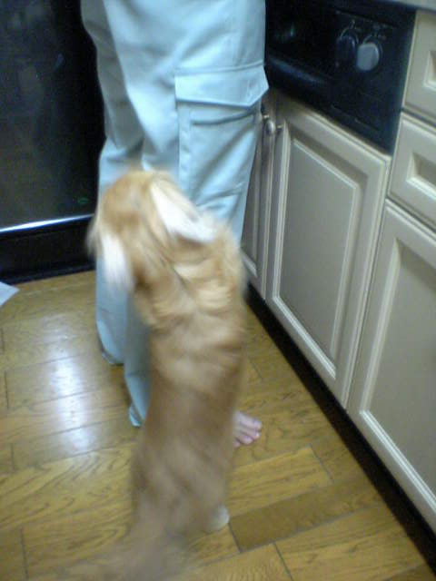 ねぇってば～～