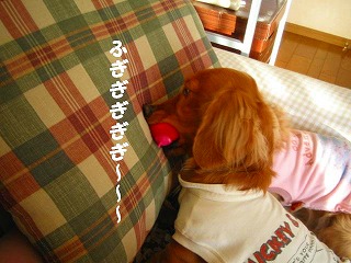 ふぎぎぎぎ～～！