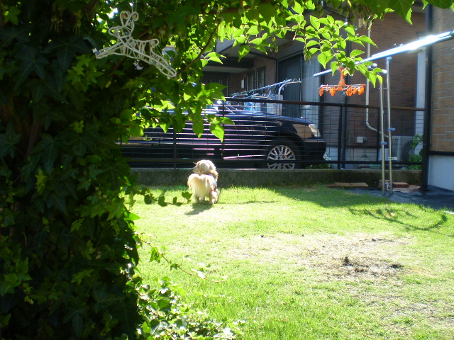 フンフフ～～ン♪