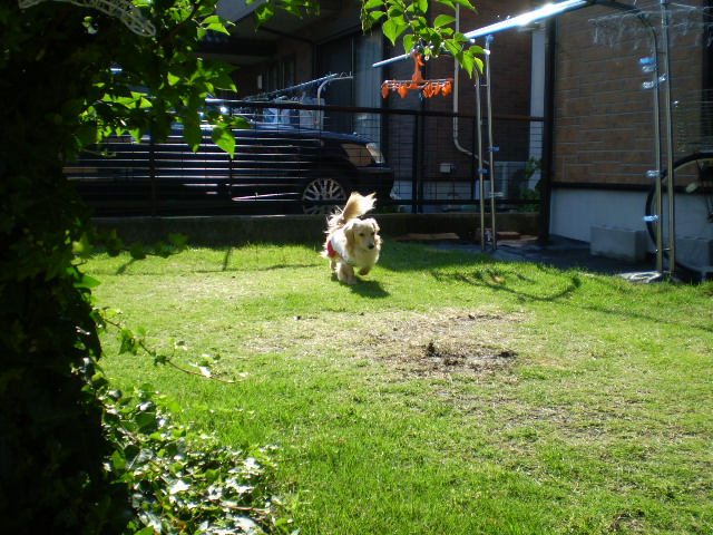 ハイノハイノハ～～イ♪