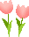 チューリップ