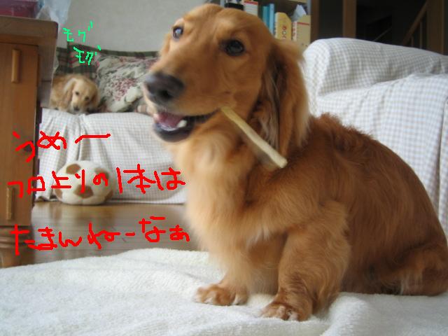 風呂上りの一本　１