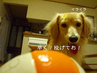 早く投げてお！！