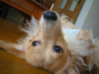 もう　起きる時間？