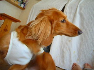 よく寝たな～～