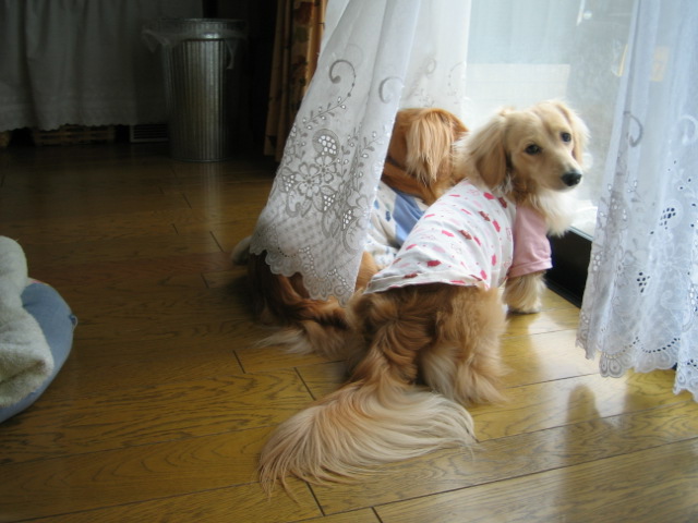 いいなぁ～～２