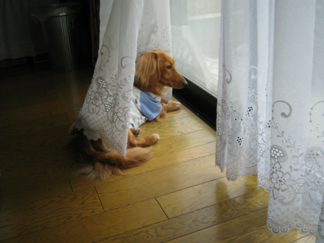 いいなぁ～～３