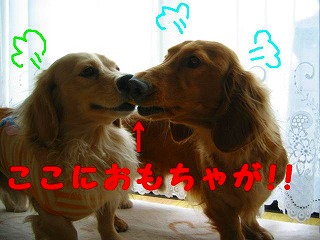 前からだとこんな感じ・・