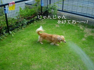 じゃんじゃんいってみお～～！！