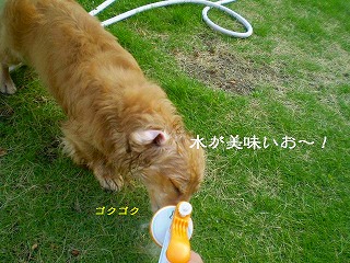 うんまいお～～