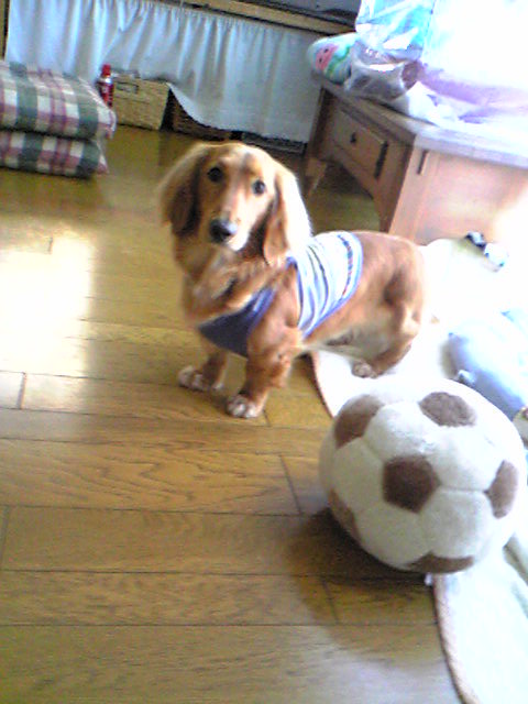 おかんの浮気者！！