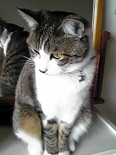 今日のもなか1月2日パート2