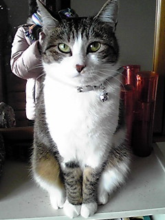 今日のもなか1月2日パート3