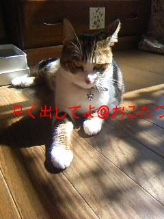 今日のもなか10月12日パート2