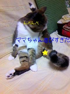 今日のもなか12月30日パート2