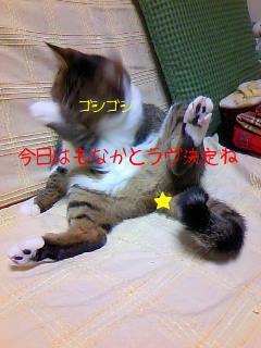 今日のもなか12月30日パート3