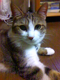 今日のもなか8月5日パート2