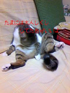 今日のもなか12月30日パート4