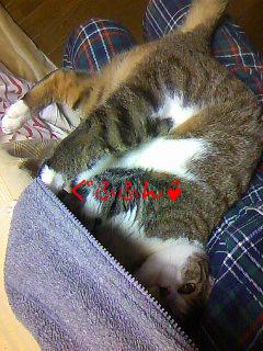 今日のもなか12月30日パート5