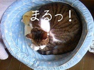 今日のもなか9月26日パート2