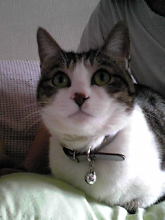 今日のもなか5月31日パート2