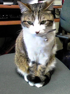 今日のもなか5月31日パート3