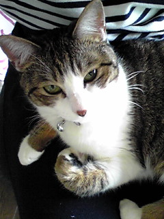 今日のもなか4月24日パート2