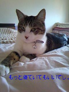 今日のもなか8月18日パート2