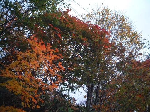 紅葉狩り＠志賀スーパー林道パート3