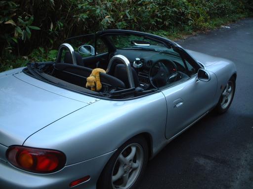 紅葉狩り＠志賀スーパー林道パート4